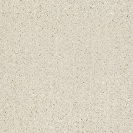 Shaw Floors Foundations Infallible Instinct Net Rock Crystal