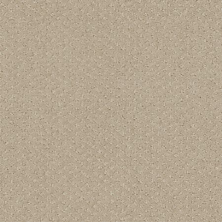 Shaw Floors Foundations Infallible Instinct Net Park Avenue