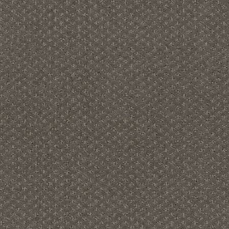 Shaw Floors Foundations Infallible Instinct Net Front Gate