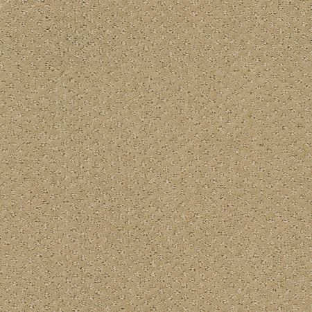 Shaw Floors Foundations Infallible Instinct Net Biscotti