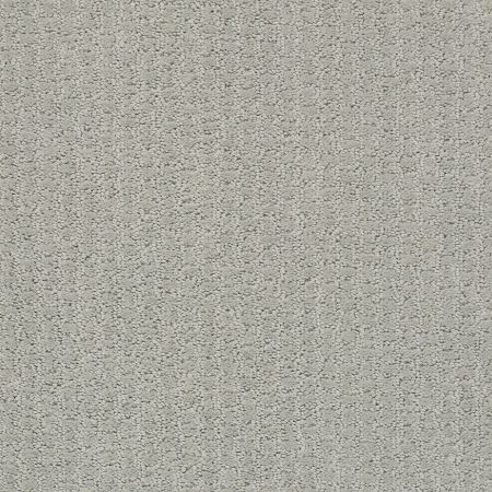 Shaw Floors Foundations Complete Control Net Offshore Mist