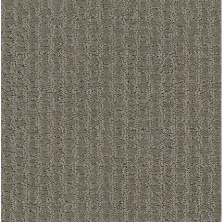 Shaw Floors Foundations Complete Control Net Abbey Stone