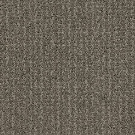 Shaw Floors Foundations Complete Control Net Front Gate