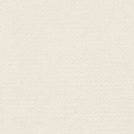 Shaw Floors Foundations Alluring Disposition Net Crisp Linen