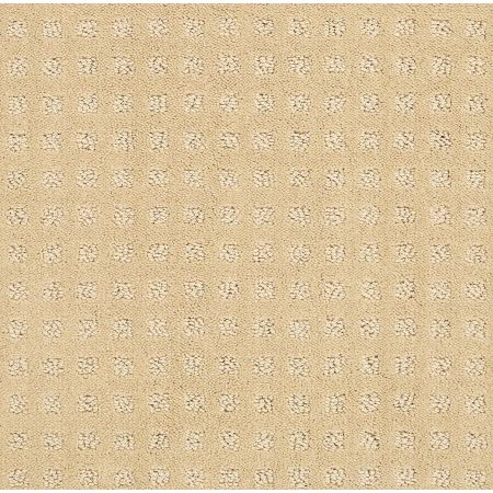 Shaw Floors Foundations Alluring Disposition Net Golden Rule