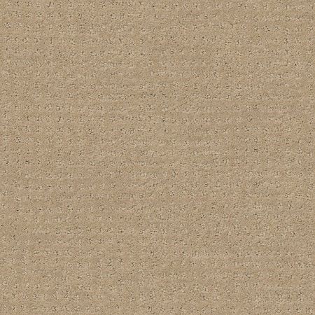 Shaw Floors Foundations Alluring Disposition Net Espresso