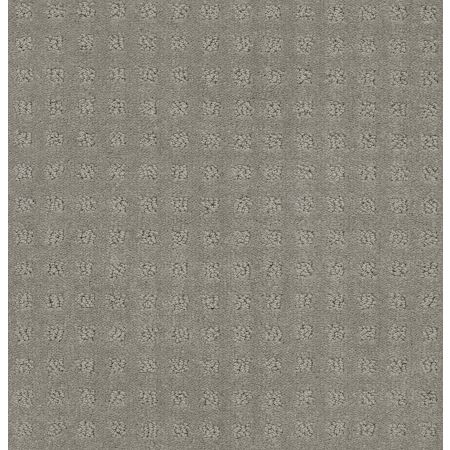 Shaw Floors Foundations Alluring Disposition Net Slate