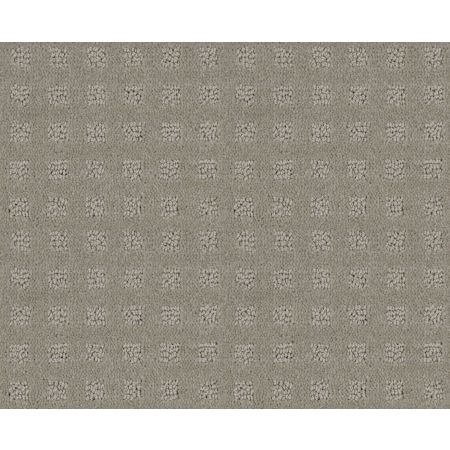 Shaw Floors Foundations Alluring Disposition Net Lady In Gray