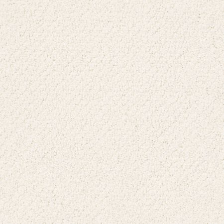 Shaw Floors Foundations Smart Thinking Net Crisp Linen