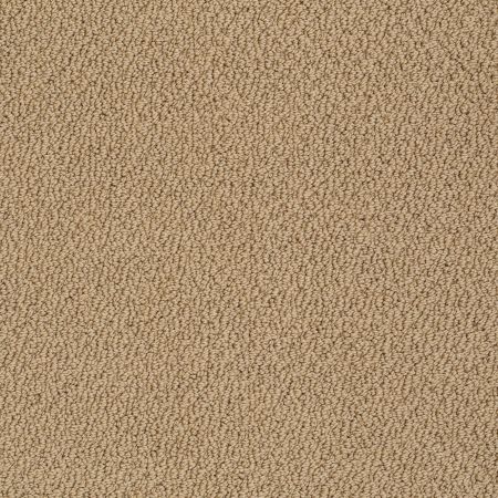 Shaw Floors Foundations Smart Thinking Net Warmth