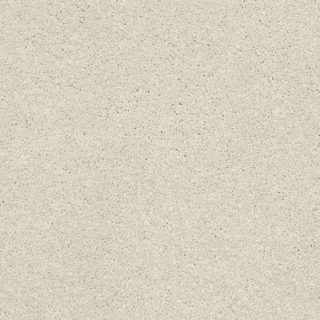 Shaw Floors Pet Perfect Plus Basic Rules Net Creamery