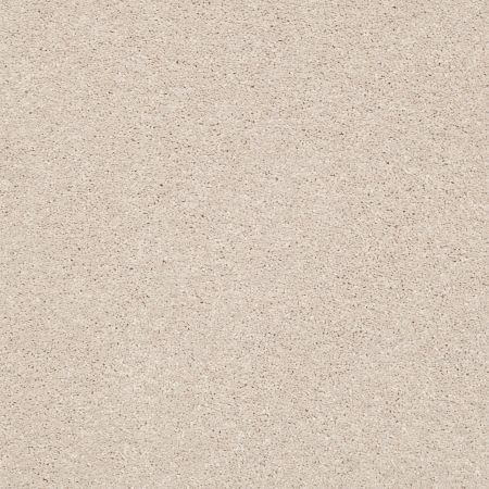 Shaw Floors Pet Perfect Plus Basic Rules Net Blush