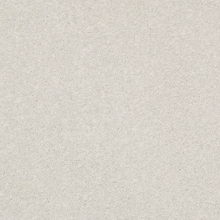 Shaw Floors Pet Perfect Plus Basic Rules Net Dew