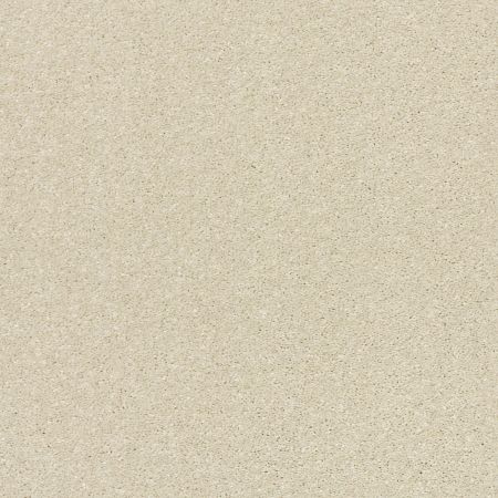 Shaw Floors Pet Perfect Plus Basic Rules Net Linen