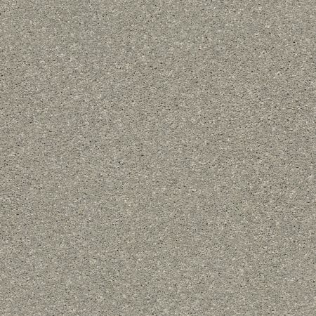 Shaw Floors Pet Perfect Plus Basic Rules Net Flax