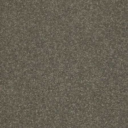 Shaw Floors Pet Perfect Plus Basic Rules Net Portobello