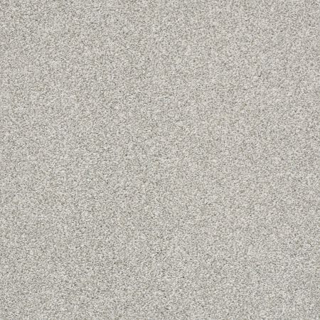 Shaw Floors Pet Perfect Plus Just A Hint I Net Dew