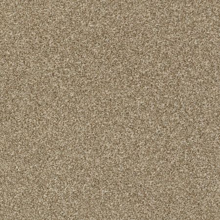 Shaw Floors Pet Perfect Plus Just A Hint I Net Gold Rush