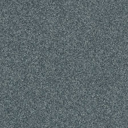 Shaw Floors Pet Perfect Plus Just A Hint I Net Blue Wing