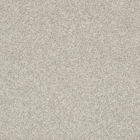 Shaw Floors Pet Perfect Plus Just A Hint I Net Fog