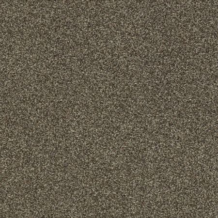 Shaw Floors Pet Perfect Plus Just A Hint II Net Mink