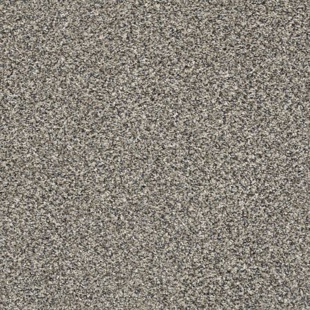 Shaw Floors Pet Perfect Plus Perpetual I Net Fog