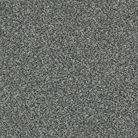 Shaw Floors Pet Perfect Plus Perpetual II Net Aquamarine