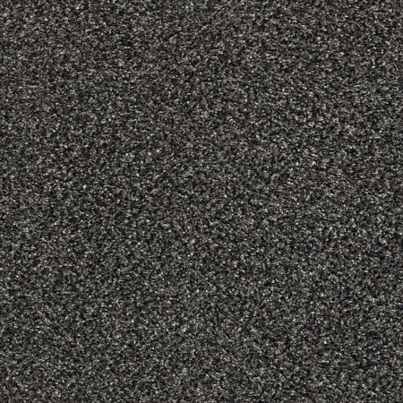 Shaw Floors Pet Perfect Plus Perpetual II Net Truffle