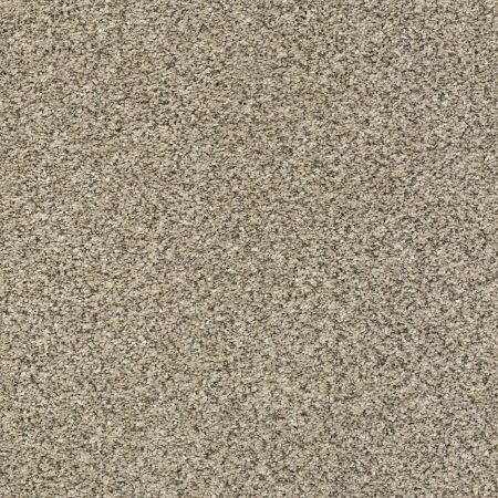 Shaw Floors Pet Perfect Plus Perpetual II Net Khaki