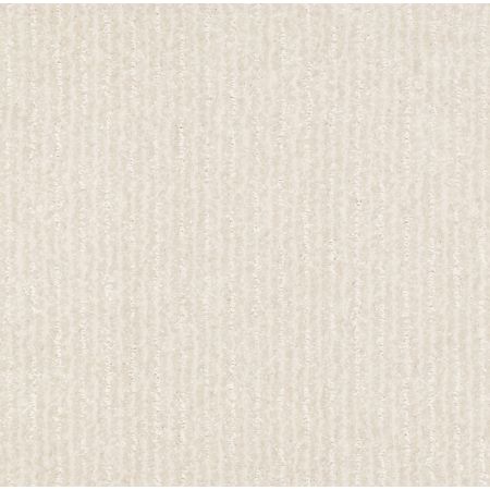 Shaw Floors Pet Perfect Plus Outside The Lines Net Snow Fall