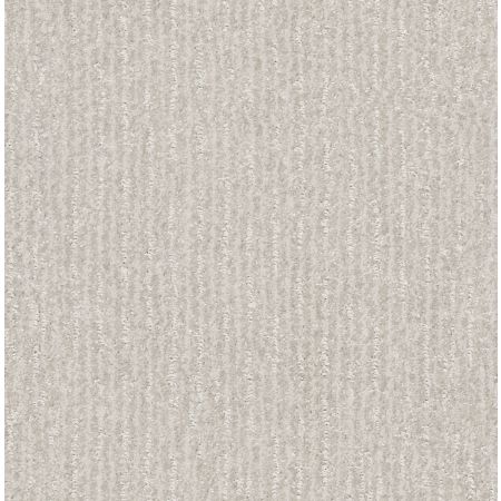 Shaw Floors Pet Perfect Plus Outside The Lines Net Dew