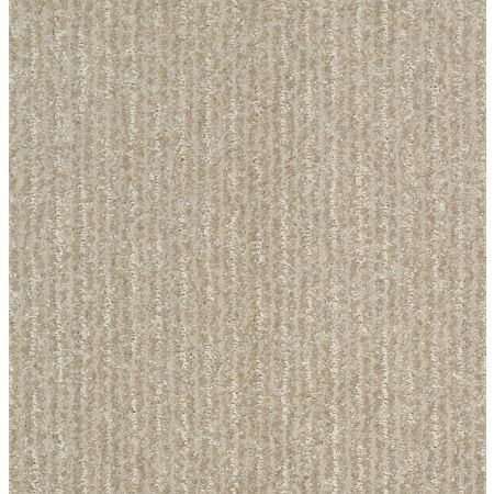 Shaw Floors Pet Perfect Plus Outside The Lines Net Gold Rush