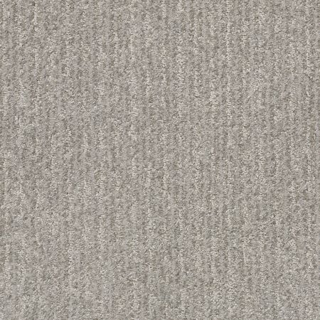 Shaw Floors Pet Perfect Plus Outside The Lines Net Platinum