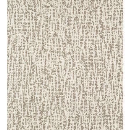 Shaw Floors Pet Perfect Plus Obvious Choice Net Snow Fall