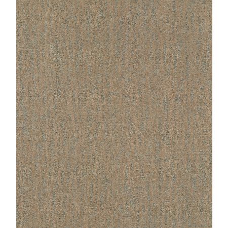 Shaw Floors Pet Perfect Plus Obvious Choice Net Gold Rush