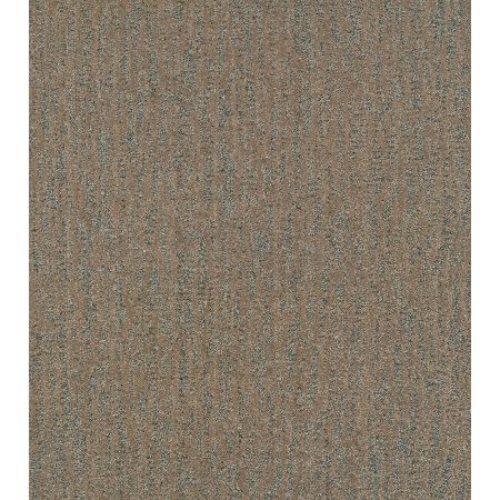 Shaw Floors Pet Perfect Plus Obvious Choice Net Bronze