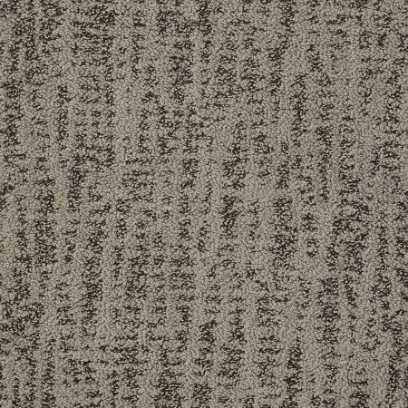 Shaw Floors Pet Perfect Plus Obvious Choice Net Dreamy Taupe