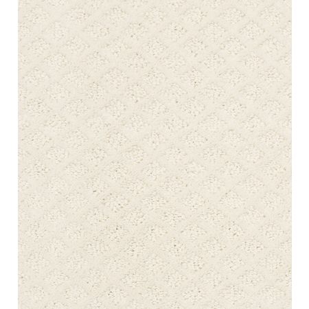 Shaw Floors Foundations Entwined With You Net Crisp Linen