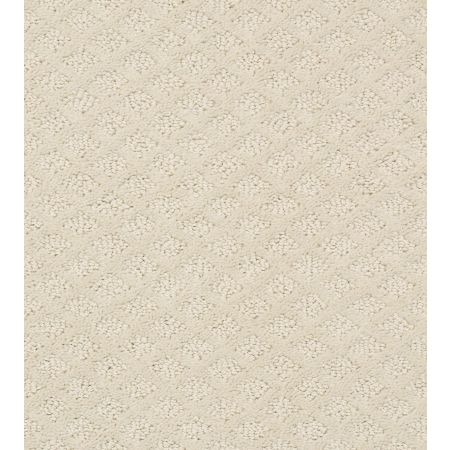 Shaw Floors Foundations Entwined With You Net Alabaster