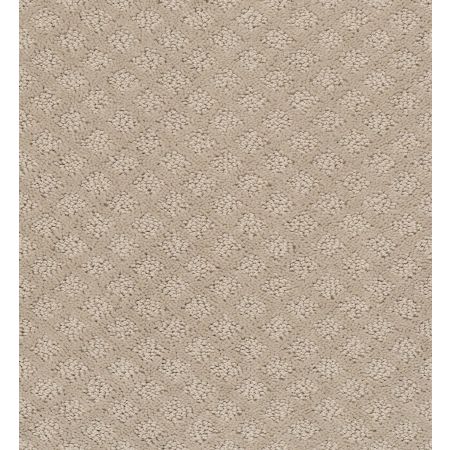 Shaw Floors Foundations Entwined With You Net Studio Taupe