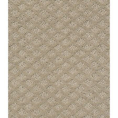 Shaw Floors Foundations Entwined With You Net Park Avenue