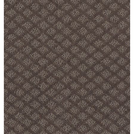 Shaw Floors Foundations Entwined With You Net Front Gate