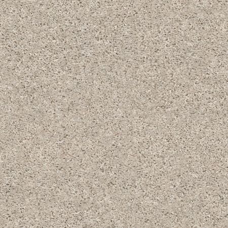 Shaw Floors Value Collections Shake It Up Solid Net Beech