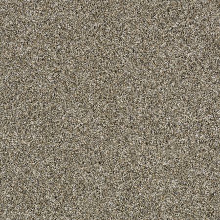 Shaw Floors Value Collections Shake It Up Tweed Net Fox Fur