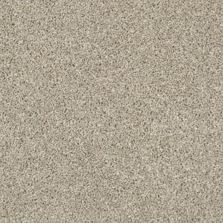 Shaw Floors Value Collections Shake It Up Tonal Net Magnolia Bloom