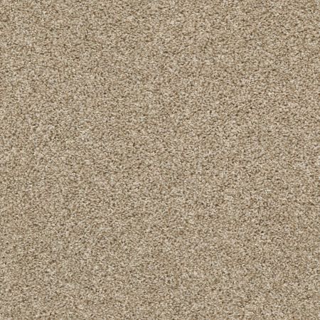 Shaw Floors Value Collections Shake It Up Tonal Net Croissant