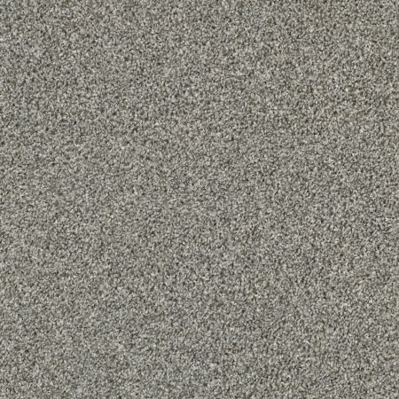 Shaw Floors Value Collections Shake It Up Tonal Net Dolphin