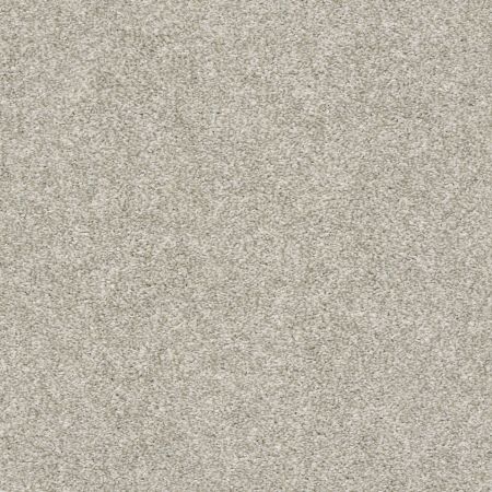 Shaw Floors Simply The Best All Over It II Oatmeal