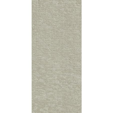 Shaw Floors Simply The Best All In One Classic Taupe