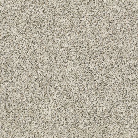 Shaw Floors Simply The Best All Set I Atlantic Sand